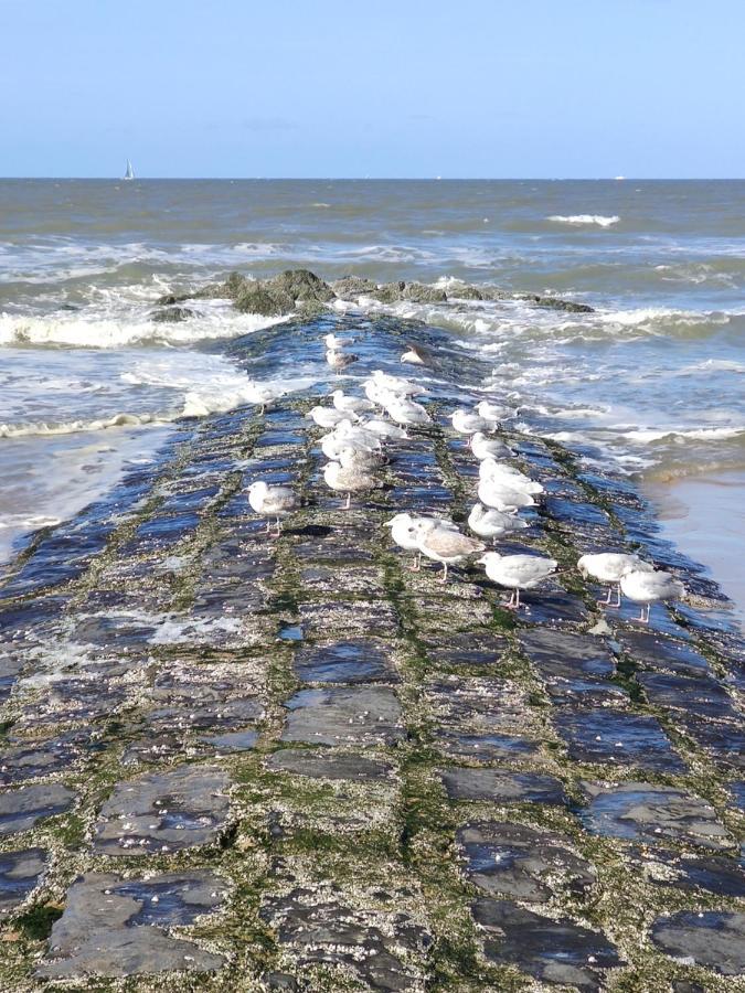 Seabreak4You Bredene Exterior foto